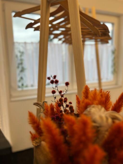 Boho Apartment Mit Aussicht Auf Gartenoase Naehe Duesseldorf Krefeld Exteriér fotografie